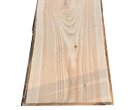\\192.168.140.221\daten\IT\Allgeier\Online-Shop\Bilddaten\G&J Platten\L&auml;rche_Hauptbild.png