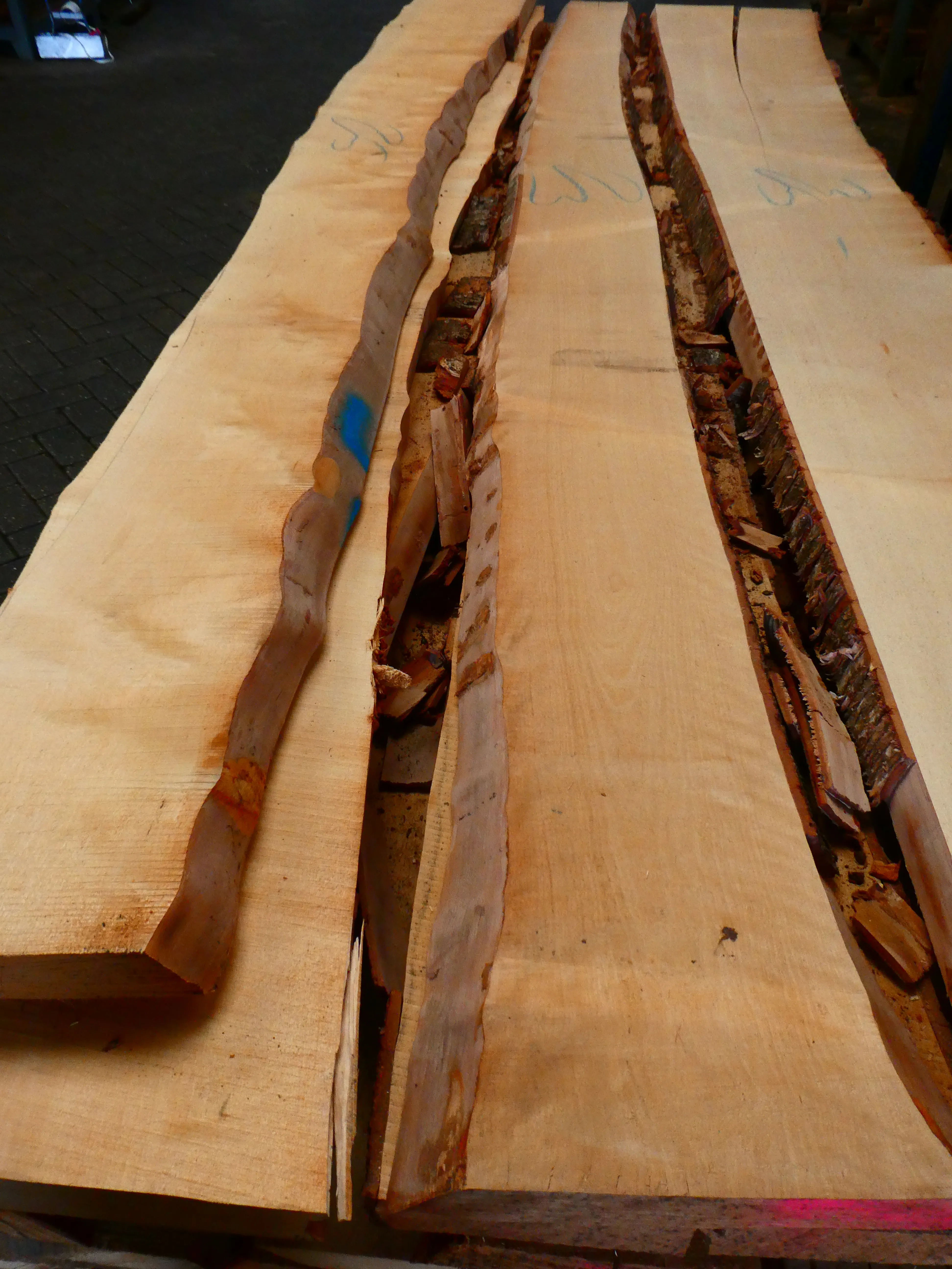 \\192.168.140.221\daten\IT\Allgeier\Online-Shop\Bilddaten\G&J Platten\Birke_Hauptbild.JPG