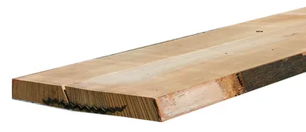 \\192.168.140.221\daten\IT\Allgeier\Online-Shop\Bilddaten\G&J Platten\Buche_ged&auml;mpft.png