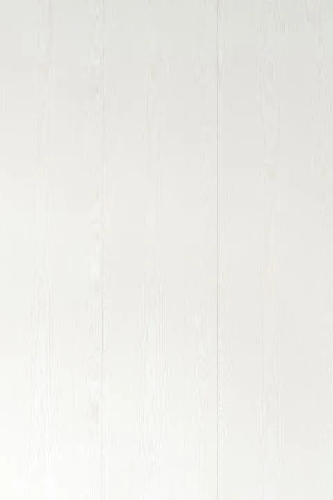 \\192.168.140.221\daten\IT\Allgeier\Online-Shop\Bilddaten\ter H&uuml;rne\Paneele\TH_Paneele_Esche_perlmuttwei&szlig;_Hauptbild.jpg