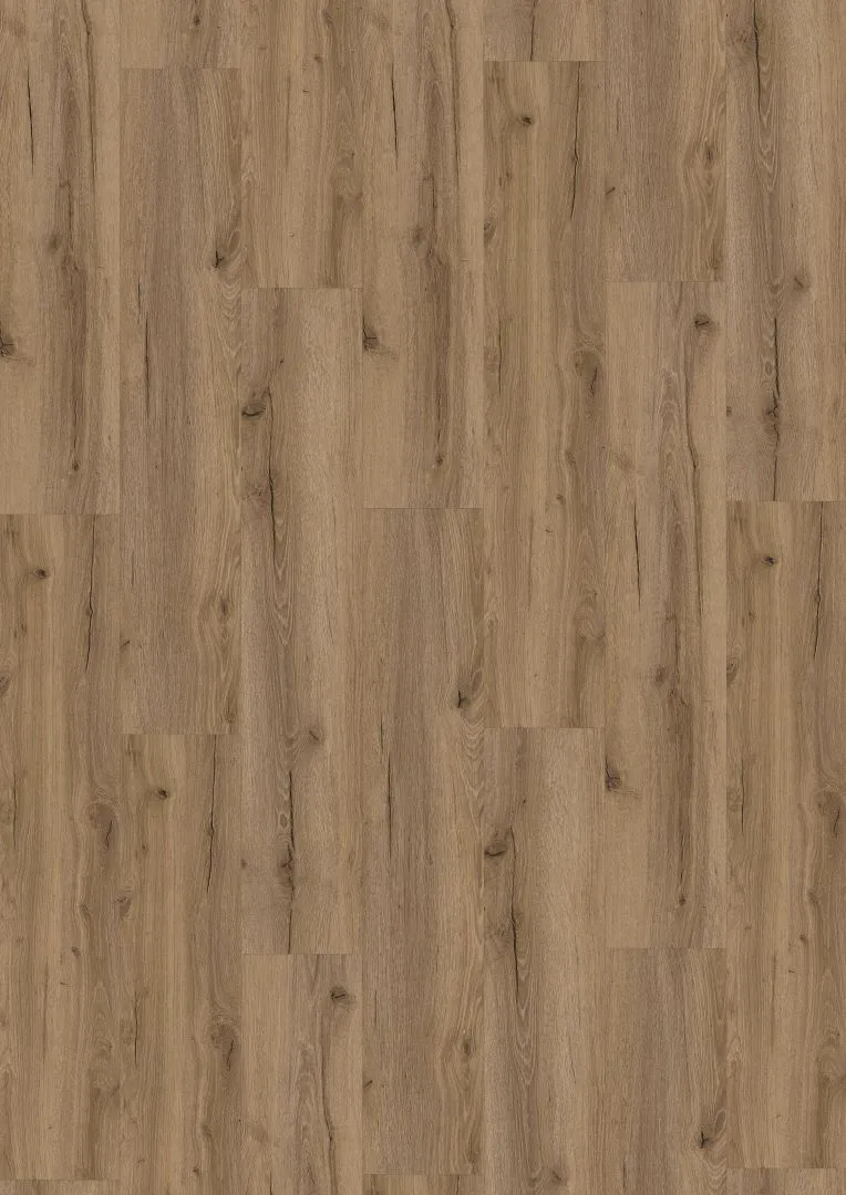 \\192.168.140.221\daten\IT\Allgeier\Online-Shop\Bilddaten\G&J - Barth & Co\Vinyl\G&J_Vinyl_Asteiche_Auster_Hauptbild.jpg