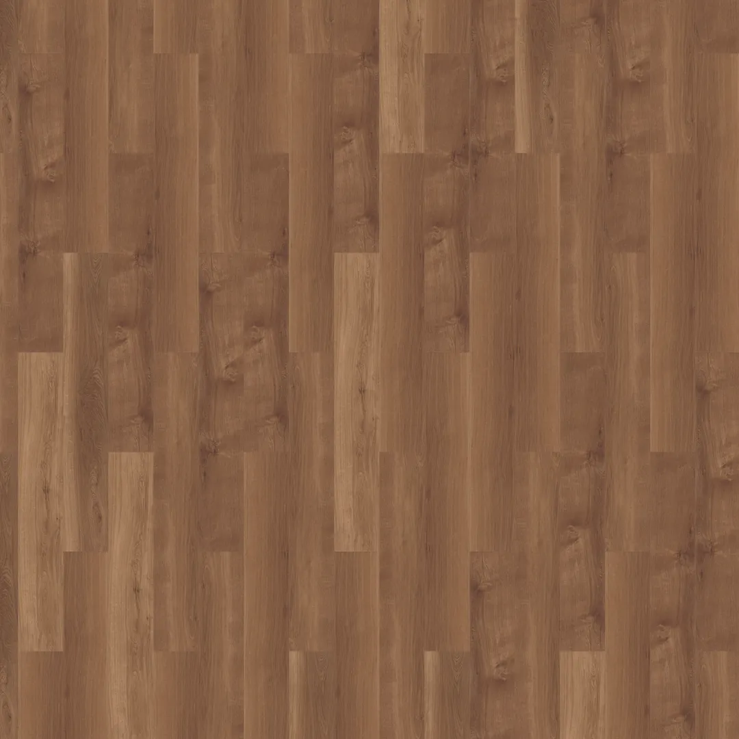 \\192.168.140.221\daten\IT\Allgeier\Online-Shop\Bilddaten\Mflor\41813 Broad Leaf dark Sycamore FRONTAL.png