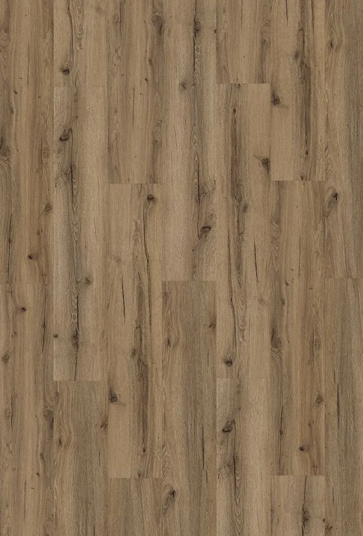 \\192.168.140.221\daten\IT\Allgeier\Online-Shop\Bilddaten\G&J - Barth & Co\Vinyl\G&J_Vinyl_Asteiche_ger&auml;uchert_Hauptbild.jpg