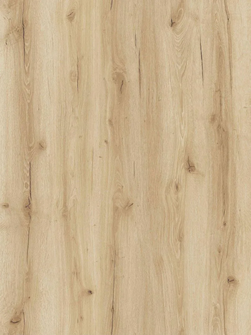 \\192.168.140.221\daten\IT\Allgeier\Online-Shop\Bilddaten\G&J - Barth & Co\Vinyl\G&J_Vinyl_Asteieche_Basic_creme_Hauptbild.jpg