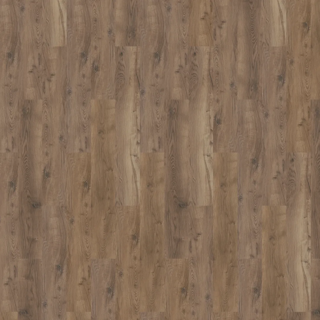 \\192.168.140.221\daten\IT\Allgeier\Online-Shop\Bilddaten\Mflor\81607 Bramber Chestnut Alforf FRONTAL.png
