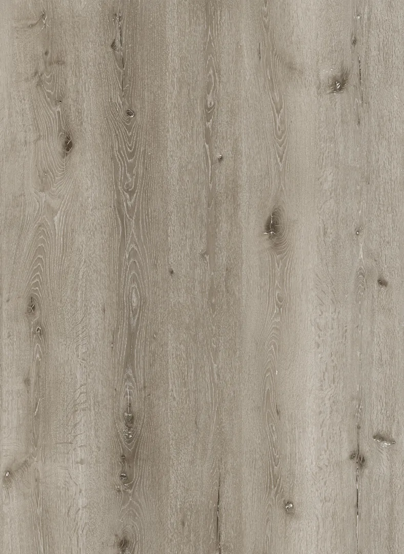 \\192.168.140.221\daten\IT\Allgeier\Online-Shop\Bilddaten\Republic Floor\Floresta Vinyl\Floresta_Vinyl_Risoud_Hauptbild.jpg