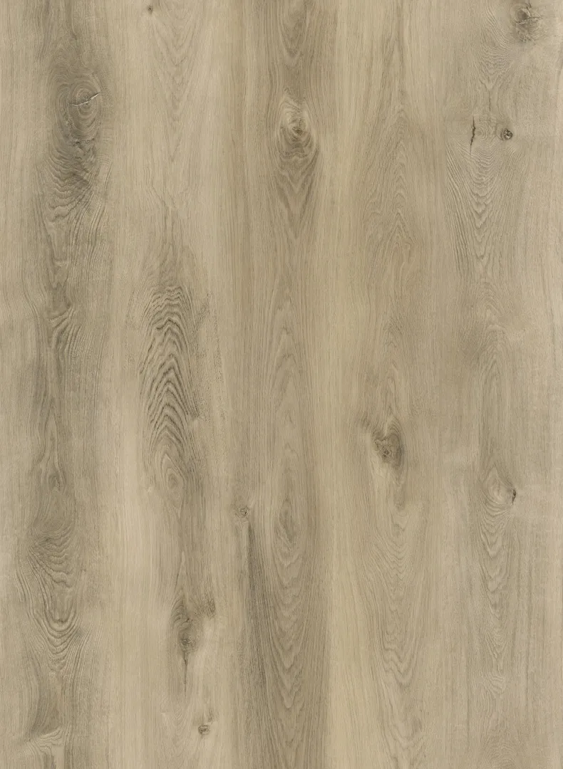 \\192.168.140.221\daten\IT\Allgeier\Online-Shop\Bilddaten\Republic Floor\Floresta Vinyl\Floresta_Vinyl_Sumava_Hauptbild.jpg