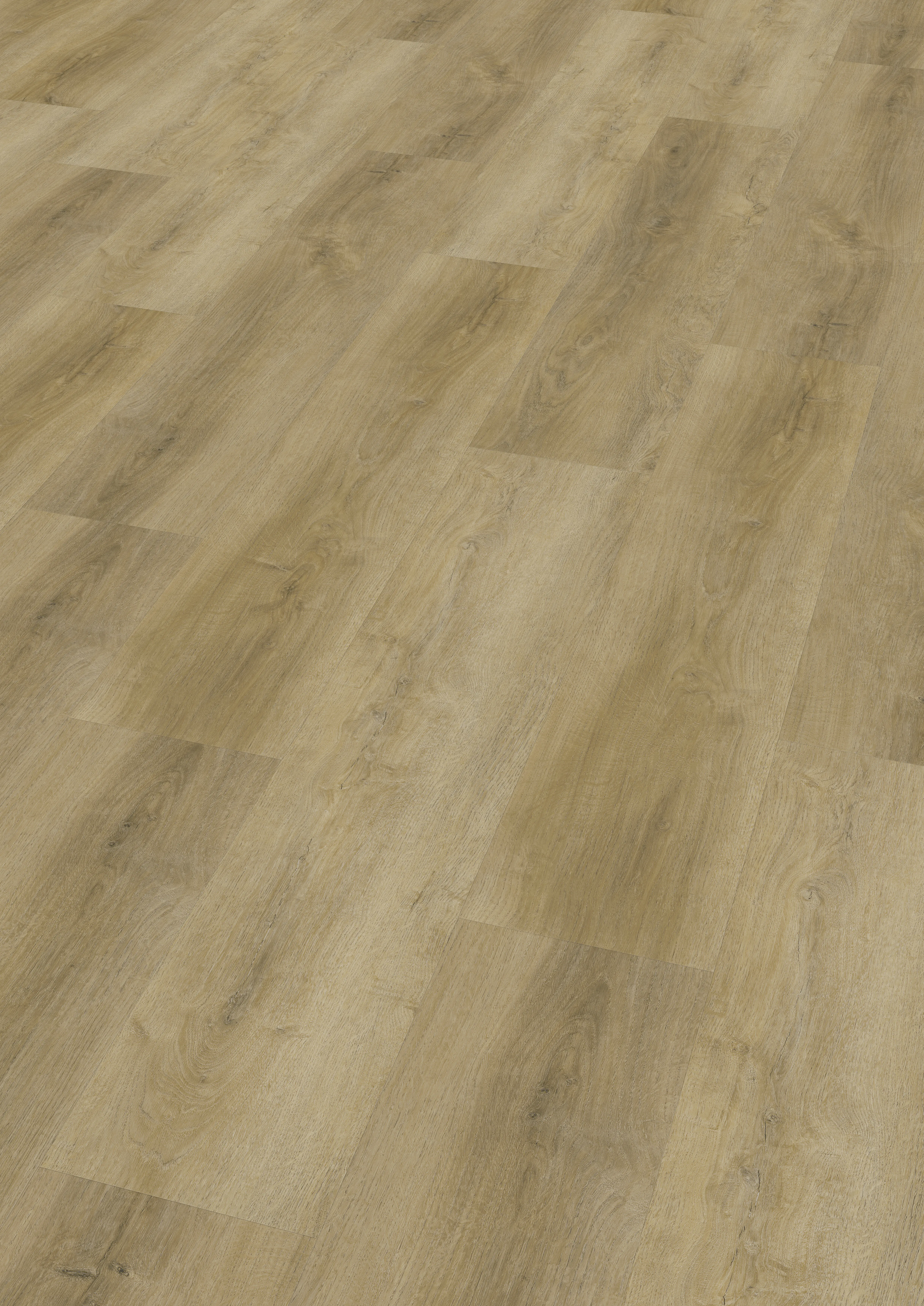 Klebevinyl G&J Feldeiche Natur