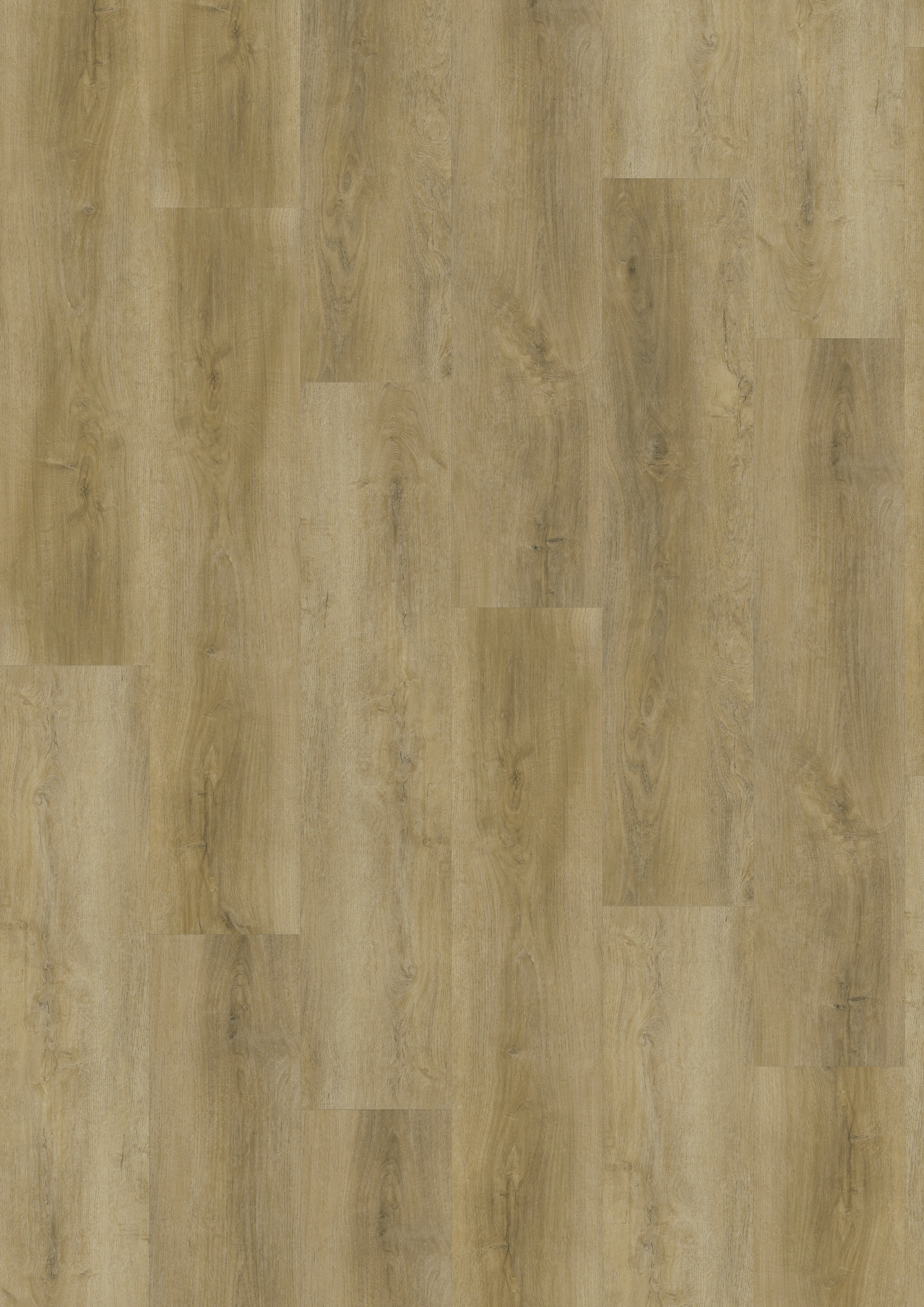 \\192.168.140.221\daten\IT\Allgeier\Online-Shop\Bilddaten\G&J - Barth & Co\Vinyl\G&J_Vinyl_Feldeiche_Natur_Hauptbild.jpg