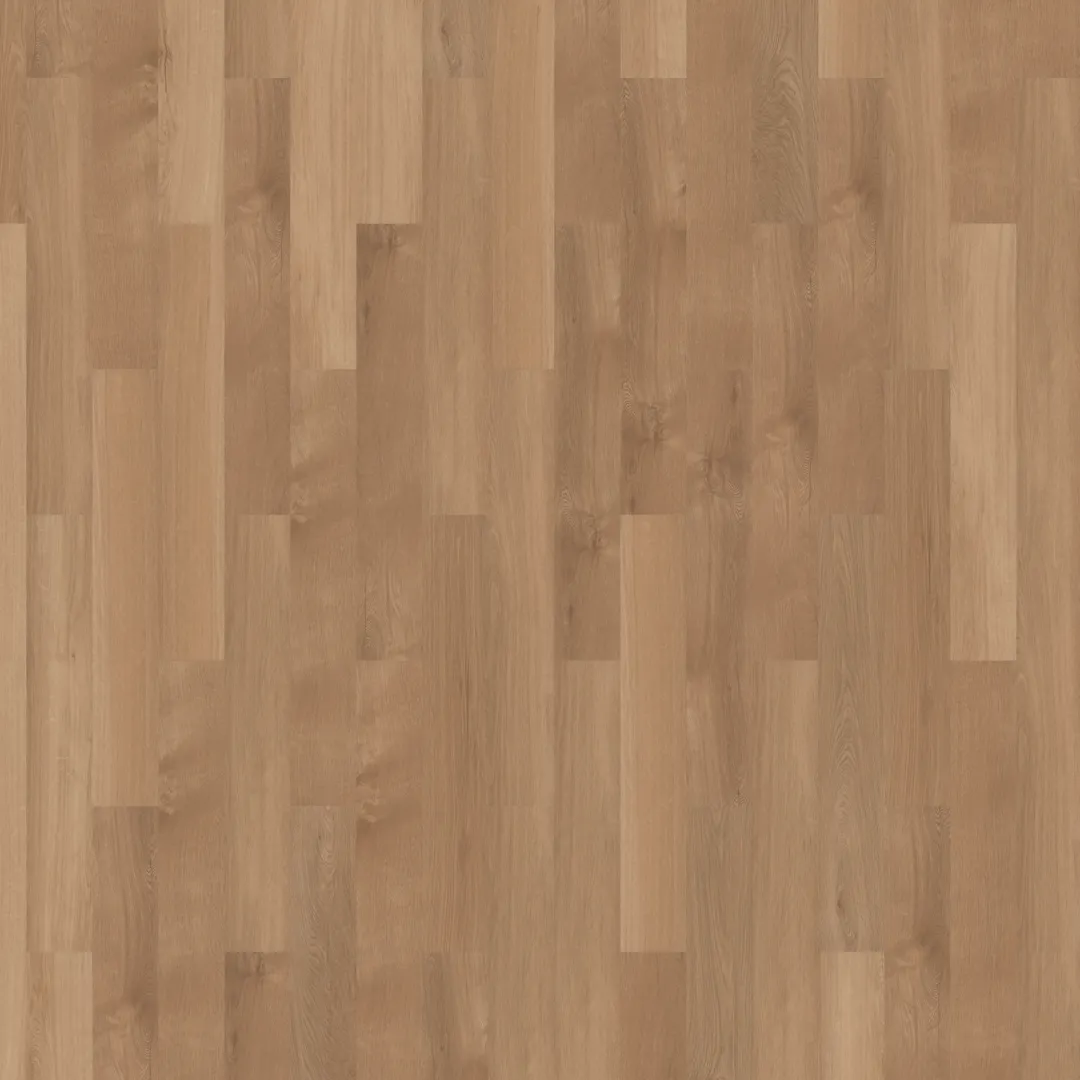\\192.168.140.221\daten\IT\Allgeier\Online-Shop\Bilddaten\Mflor\41822 Broad Leaf pure Sycamore FRONTAL.png