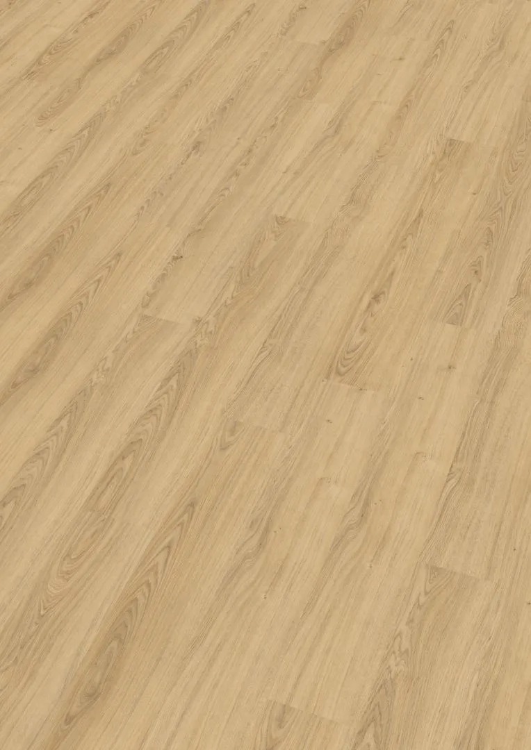 Kork Wise Klebe-Designboden Royal Oak