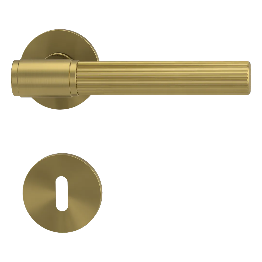 T&uuml;rgriff VAYA Aris 136